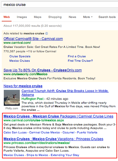 Organic Search Results Example